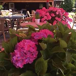 Boerderijcamping Plantlust